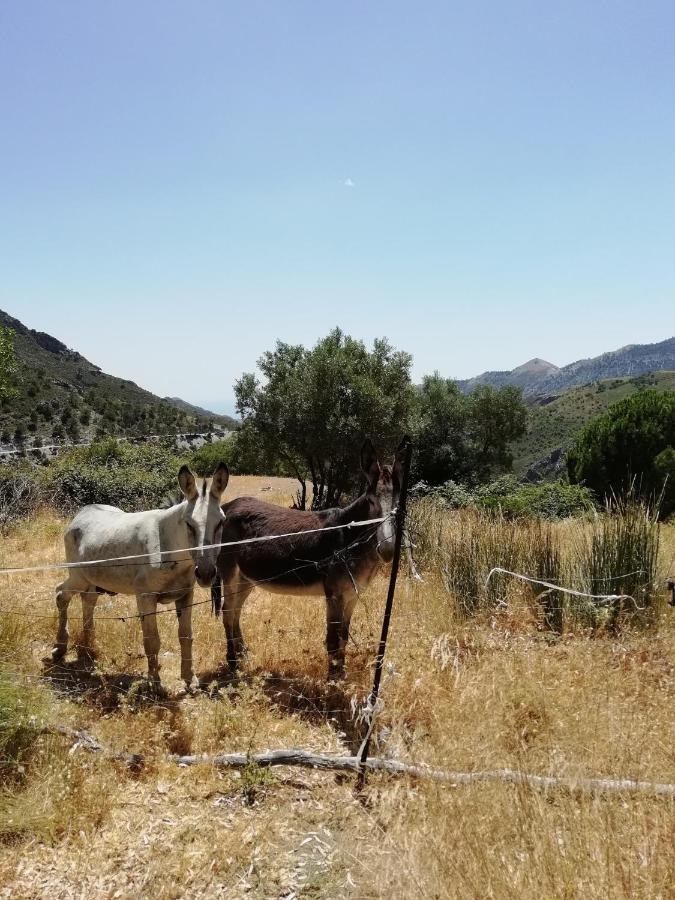 The Lost Village El Acebuchal 3* Frigiliana
