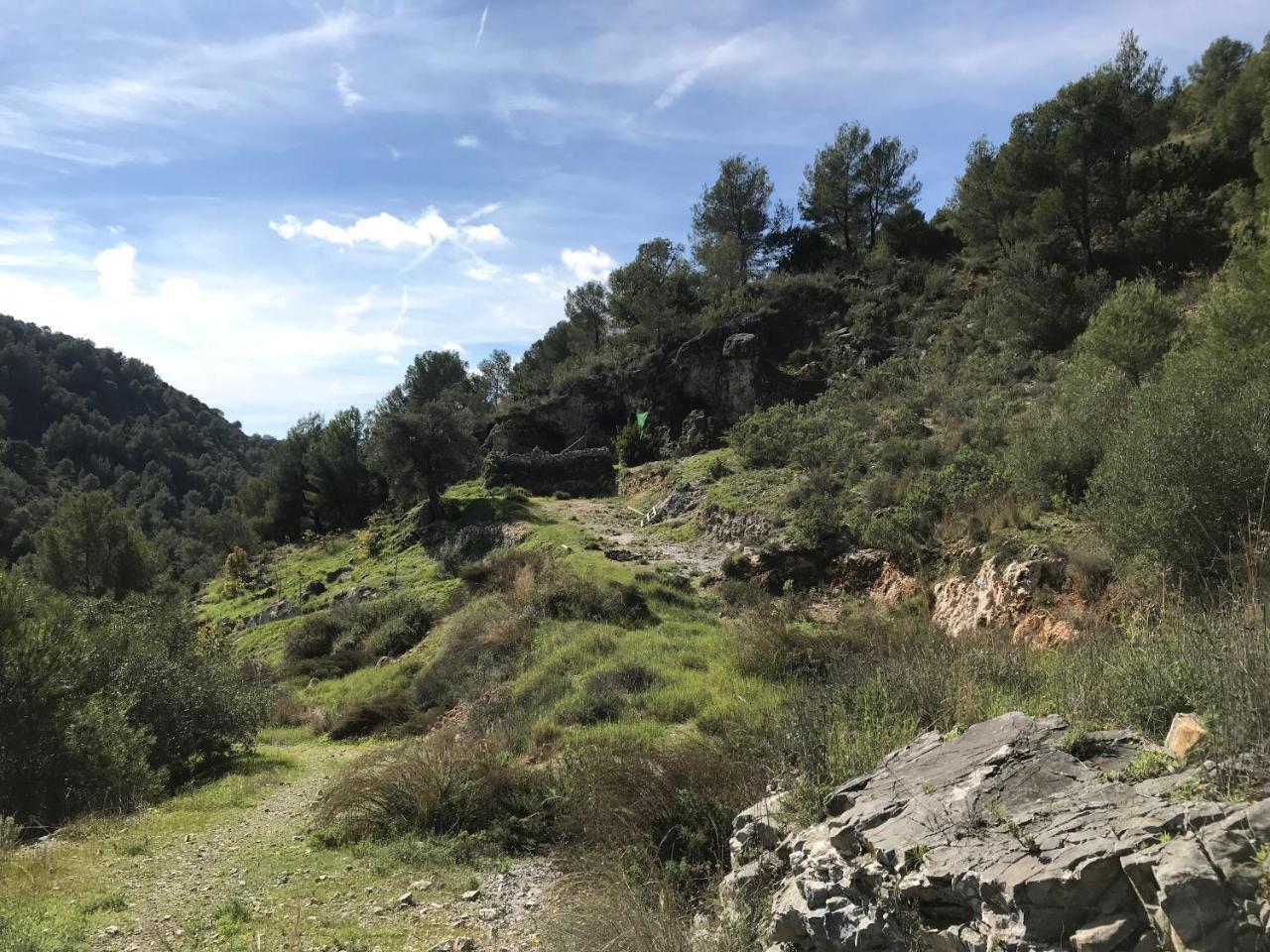 Bed & Breakfast The Lost Village El Acebuchal